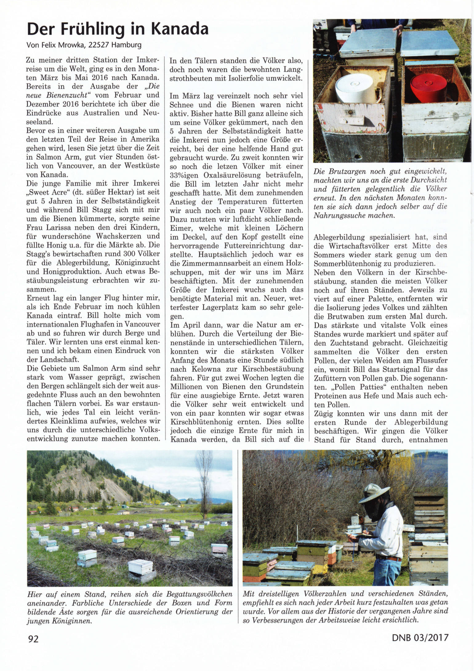 Artikel Der Frühling in Kanada Seite 1 Die Neue Bienenzucht Felix Mrowka
