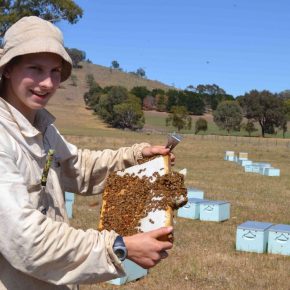 BeeHappy Imker Felix Mrowka, der Glückliche Imker posiert mit einer Bienenwabe in Australien