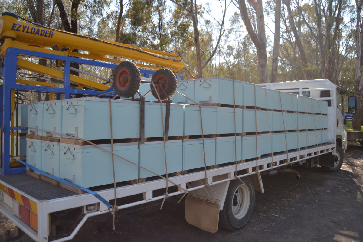 200 einzargige australische Bienenbeuten auf einem LKW verknotet