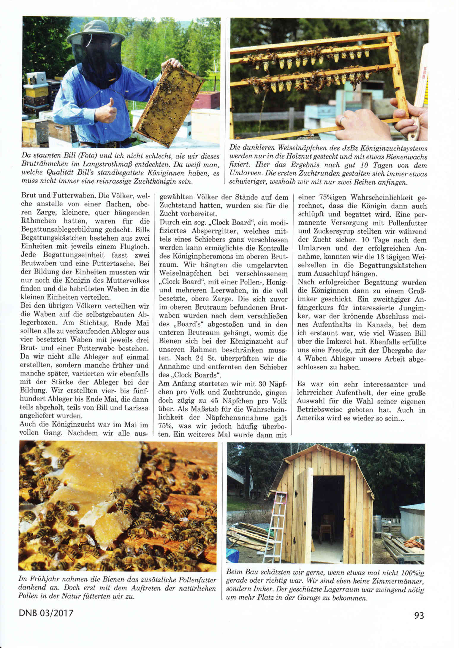 Artikel Der Frühling in Kanada Seite 2 Die Neue Bienenzucht Felix Mrowka
