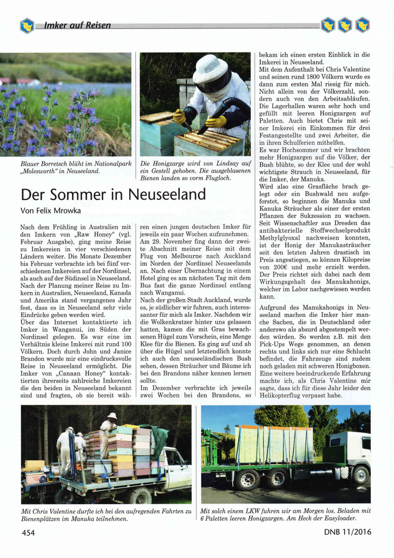 Artikel Der Sommer in Neuseeland Seite 1 Die Neue Bienenzucht Felix Mrowka