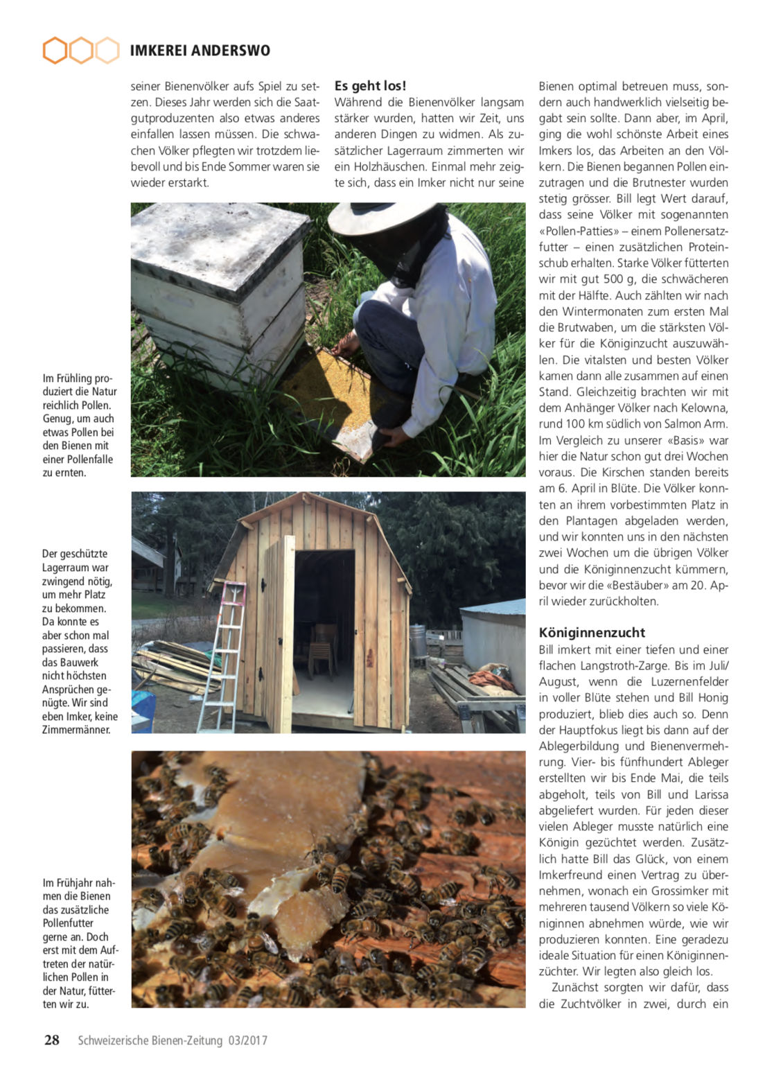 Artikel Imker auf Weltreise-dritte Station: Kanada Seite 3 Schweizerische Bienenzeitung Felix Mrowka