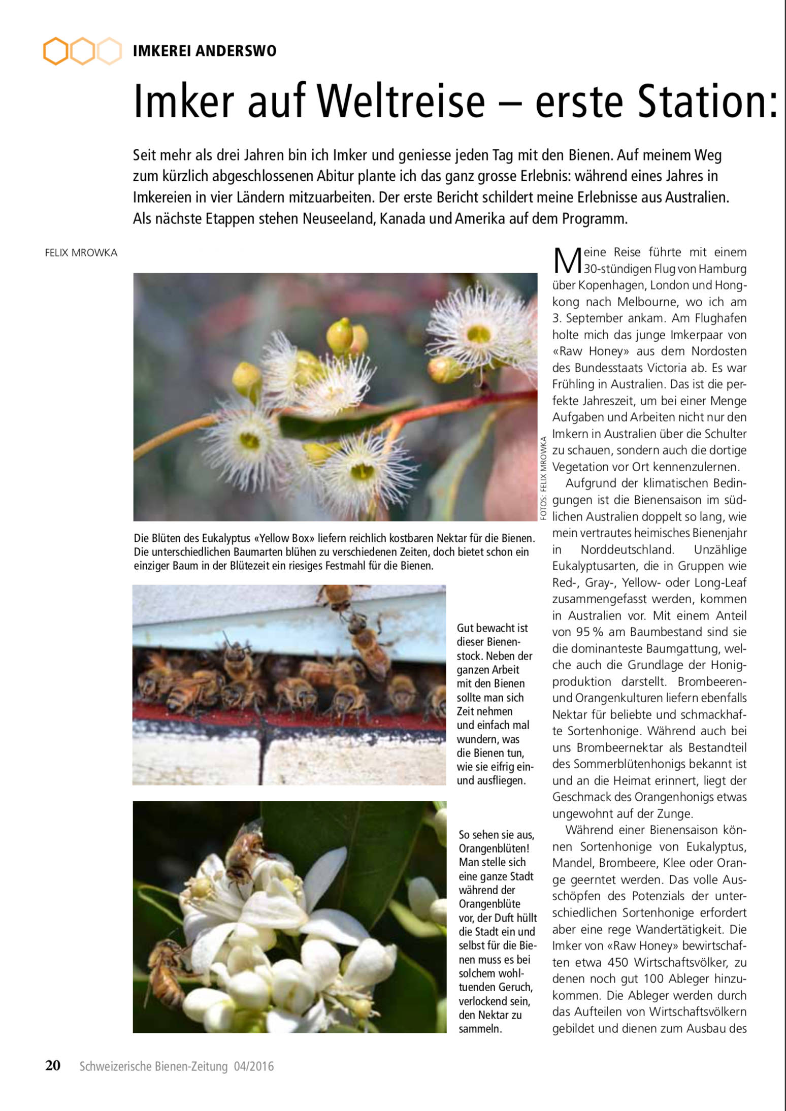 Artikel Imker auf Weltreise erste Station: Australien Seite 1 Schweizerische Bienenzeitung Felix Mrowka
