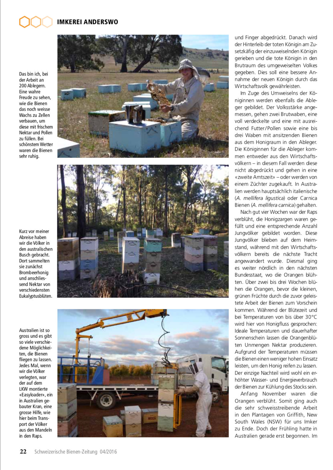 Artikel Imker auf Weltreise-erste Station: Australien Seite 3 Schweizerische Bienenzeitung Felix Mrowka