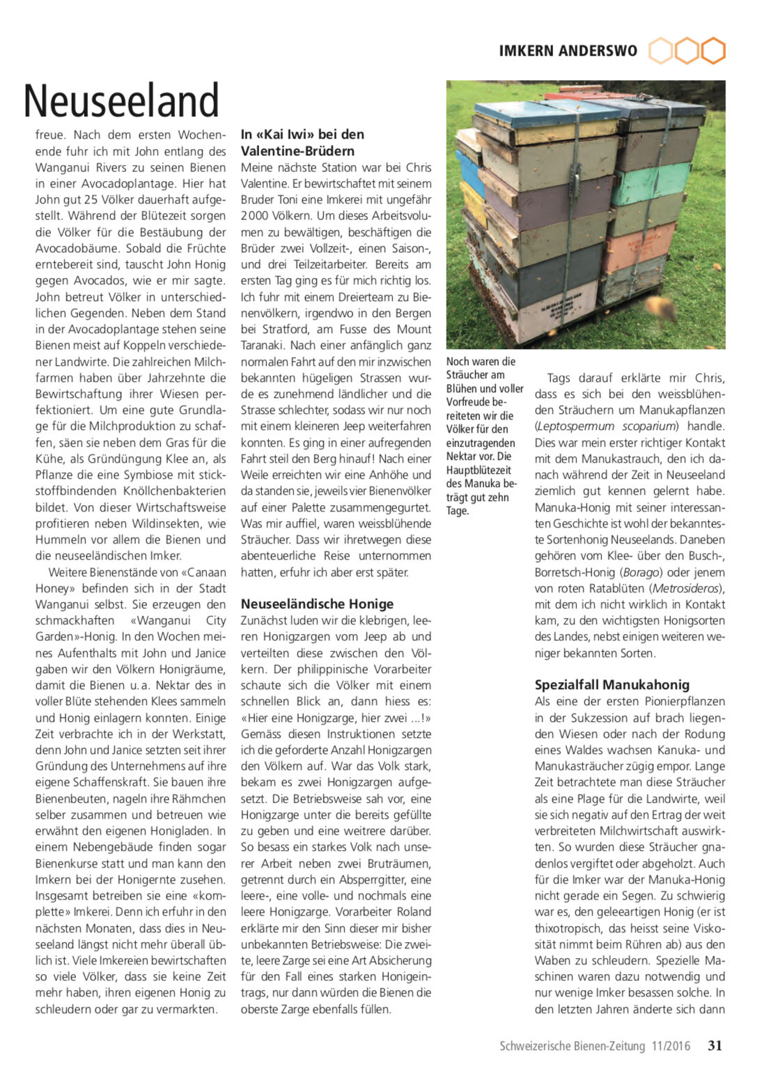 Artikel Imker auf Weltreise-zweite Station: Neuseeland Seite 2 Schweizerische Bienenzeitung Felix Mrowka