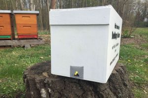 BeeHappy Bienenbox von vorne