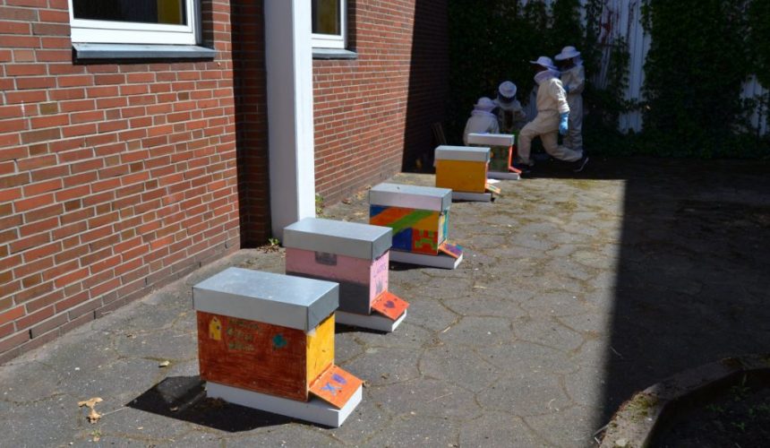 Bunt bemalte Bienenvölker Leibnitzschule-Hitzhusen beim Projekt Sommerbienen