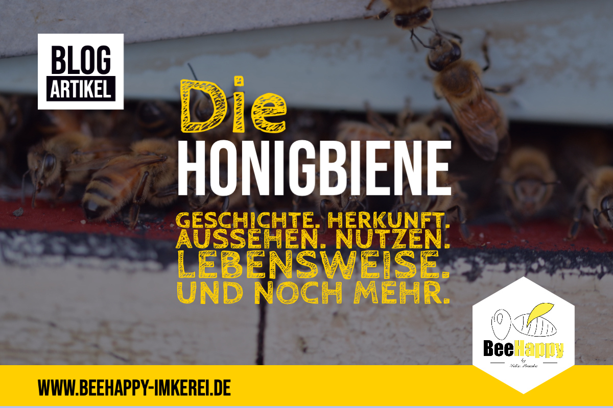 Die Honigbiene - Titelbild Blogpost