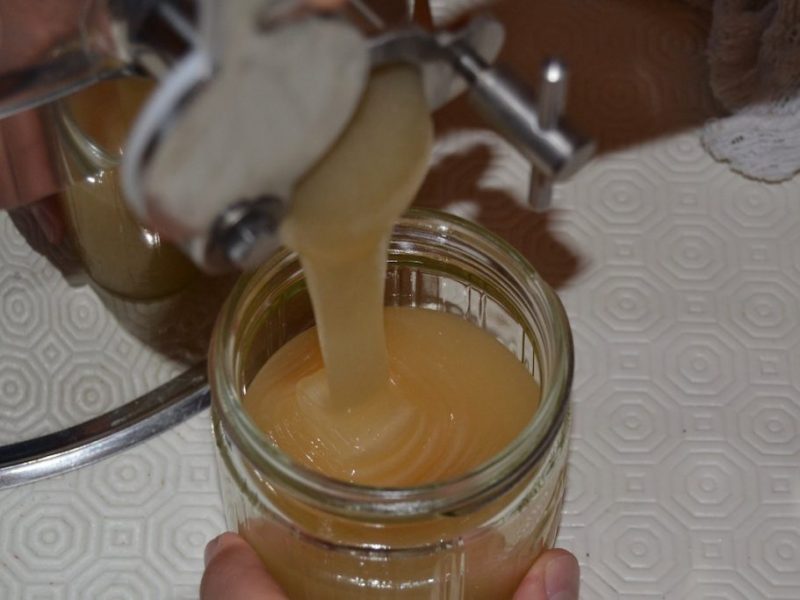Honig wird in ein D.I.B.-Glas abgefüllt