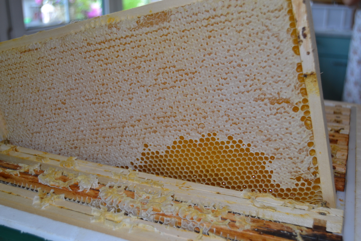 Honigwabe BeeHappy Honig von Felix Mrowka
