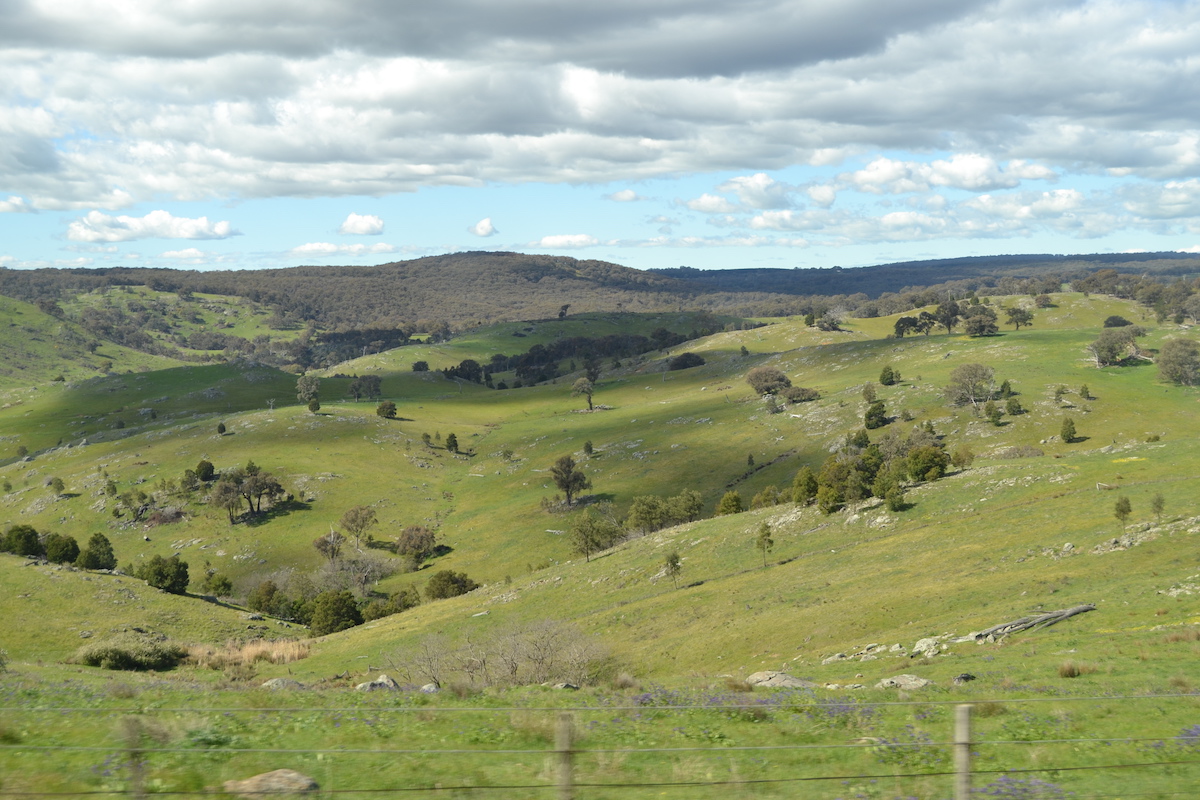 Hügelige Landschaft Australiens