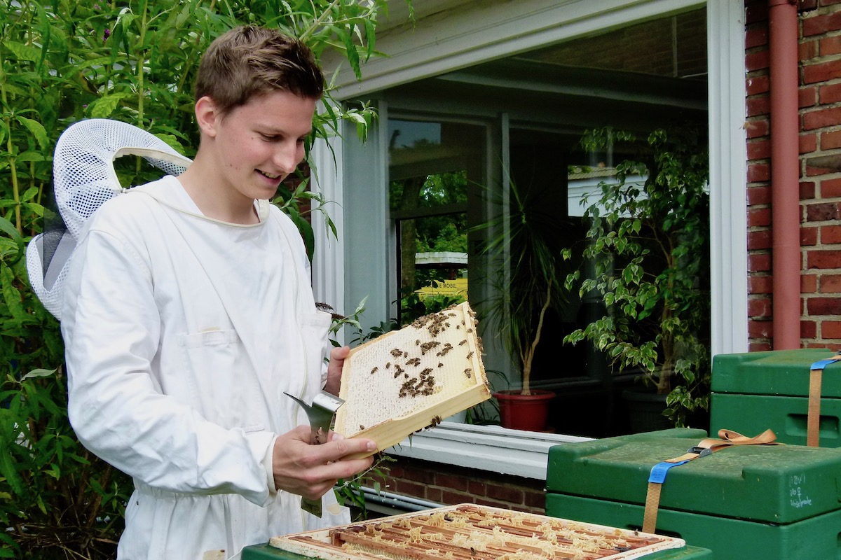 Imker Felix Mrowka hält ein Honigrähmchen mit Bienen