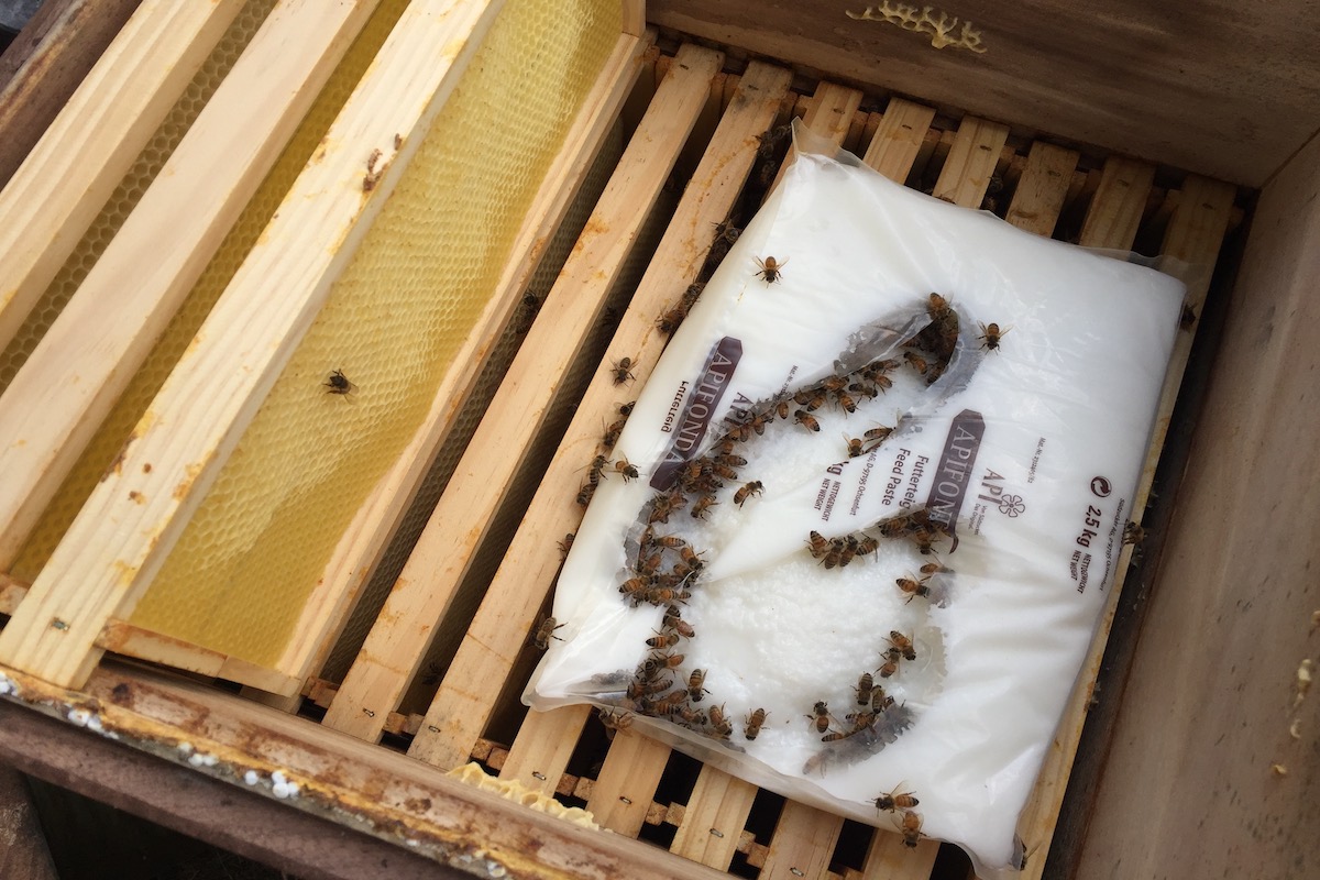 10 KG Bienenfutterteig Futterteig Bienenfutter Bienen füttern Festfutter 