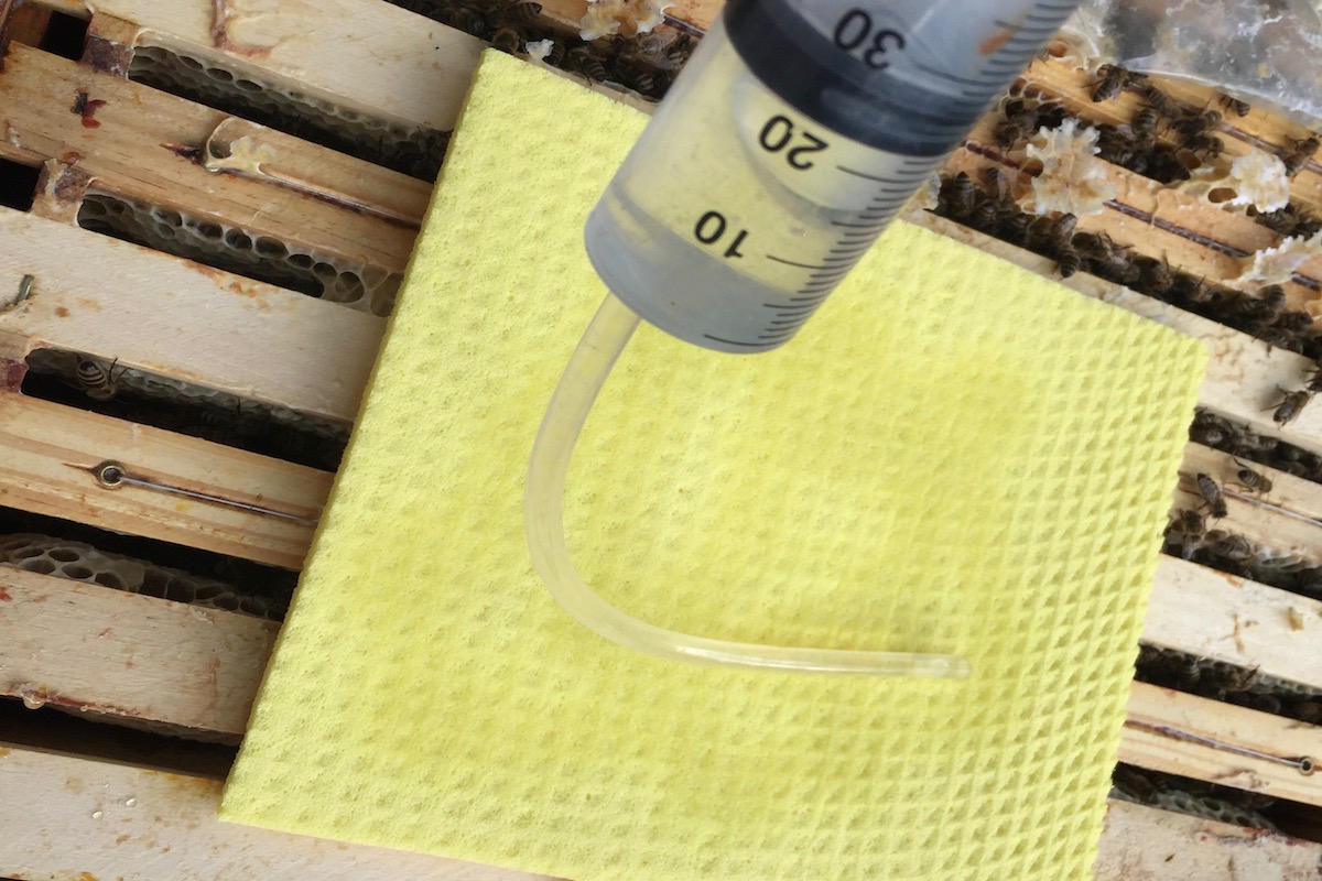 Mit einer Dosierspritze werden 22ml Ameisensäure auf ein Schwammtuch gegeben