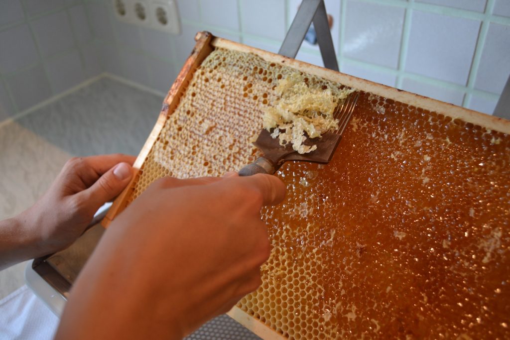 Für den Platz zum Honig schleudern, kann auch eine Küche dienen