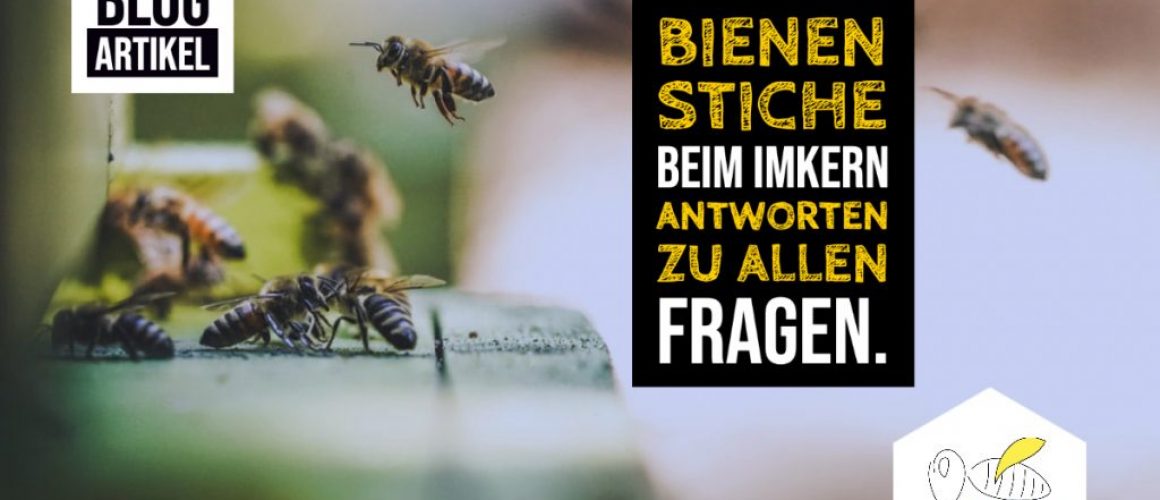 Bienenstiche-blogpost