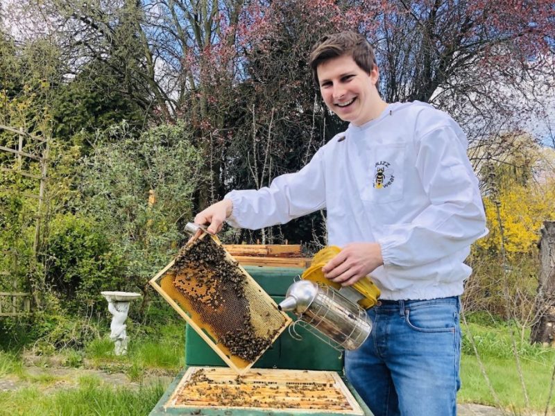 Imker Felix Mrowka am Bienenvolk mit Stockmeissel