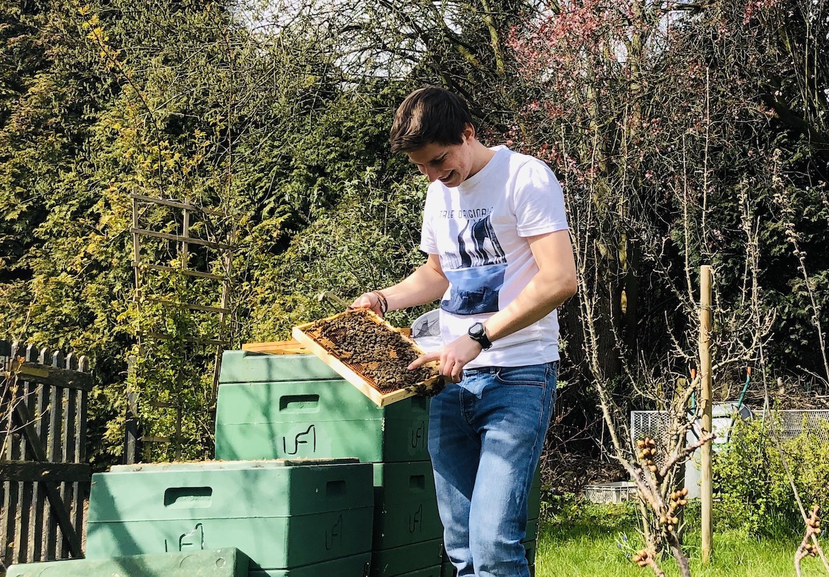 Imker Felix Mrowka von BeeHappy bei den Bienen ohne Schleier